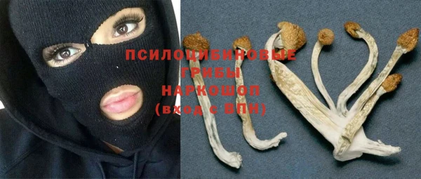 героин Богданович
