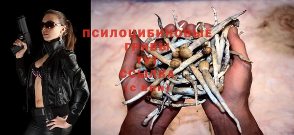 героин Богданович
